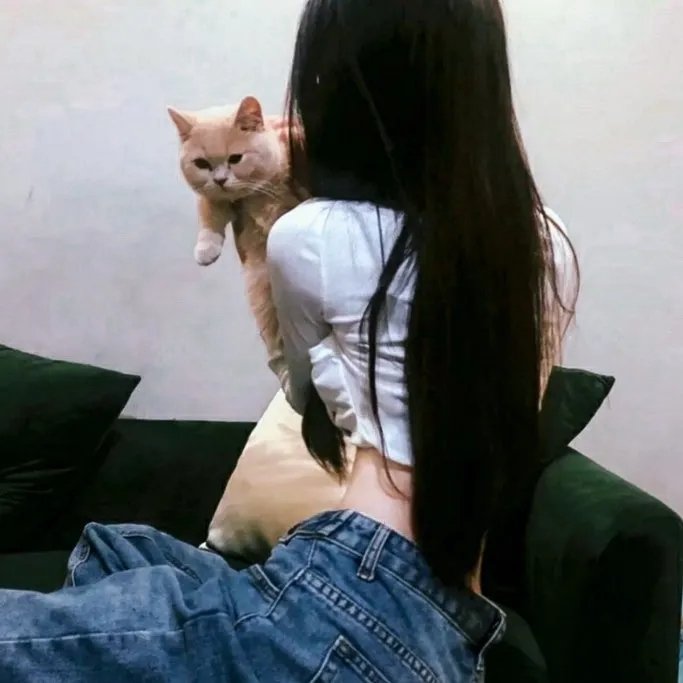 鲨与鲸